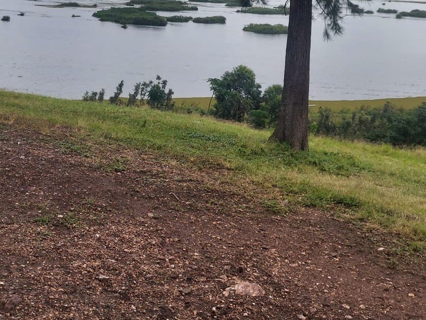 kakundi